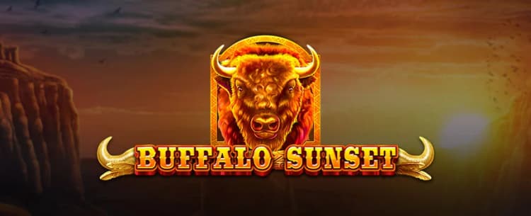 Buffalo Sunset