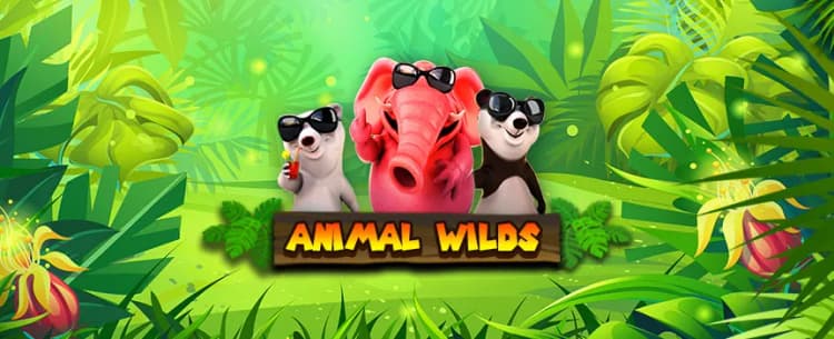 Animal Wilds